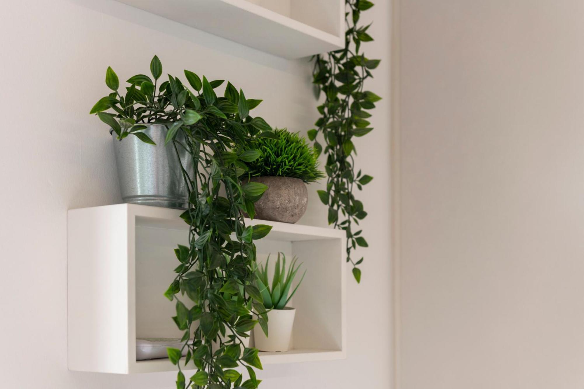 Villa Fenix Milano Kültér fotó